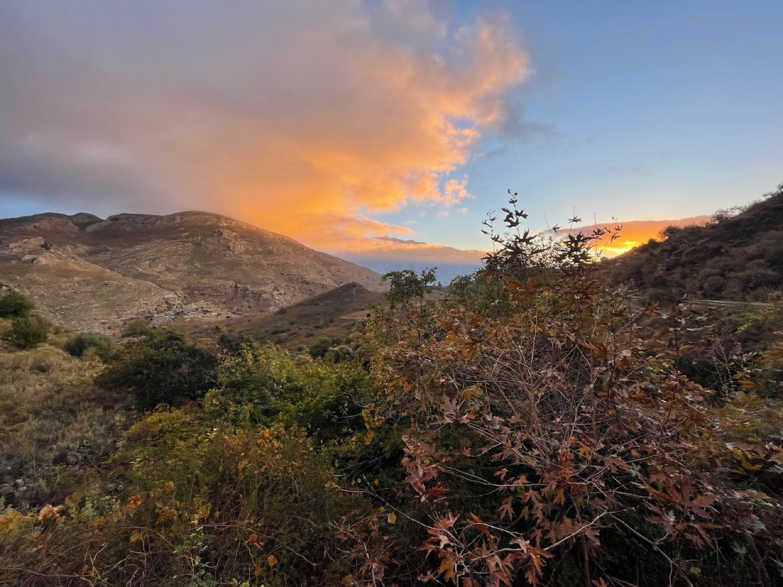 Kedros at last light