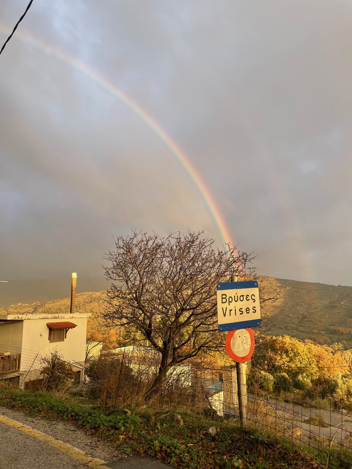 Rainbow and almond tree