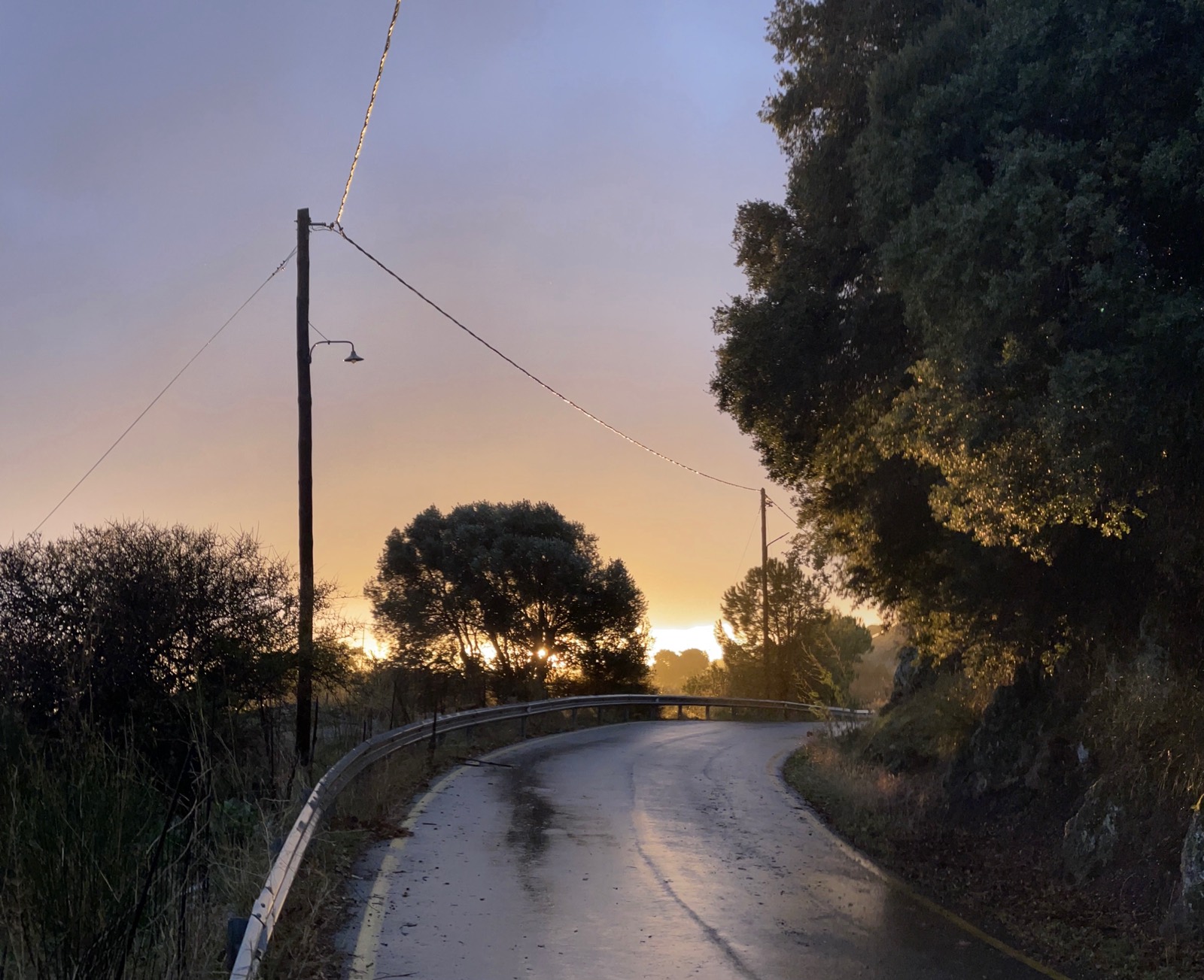 The road at dusk