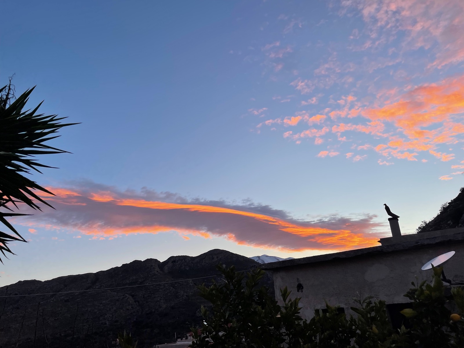 Evening colours